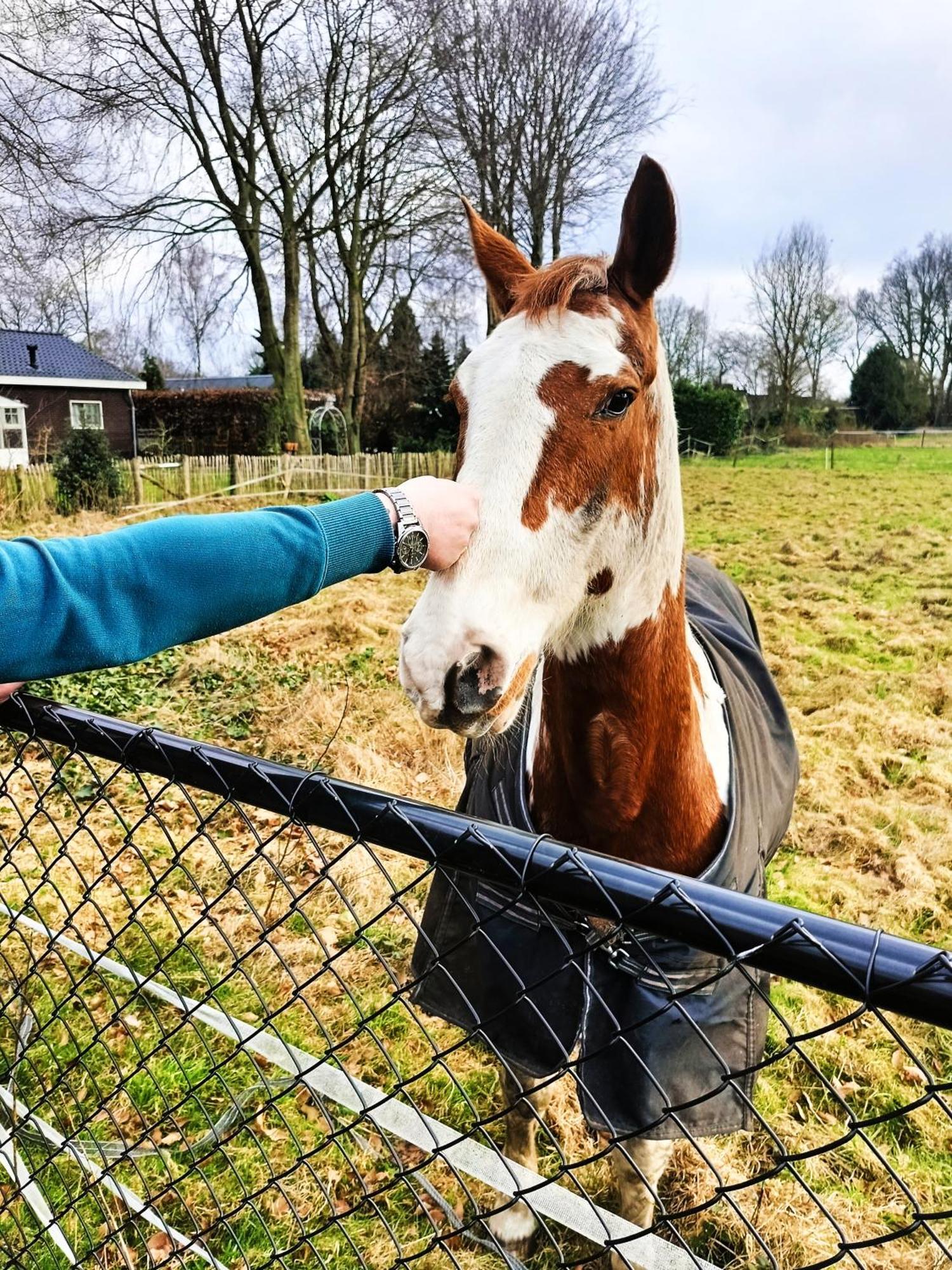 "Huisje Op De Veluwe" Met Prive Jacuzzi En Bar! Ermelo Exteriör bild